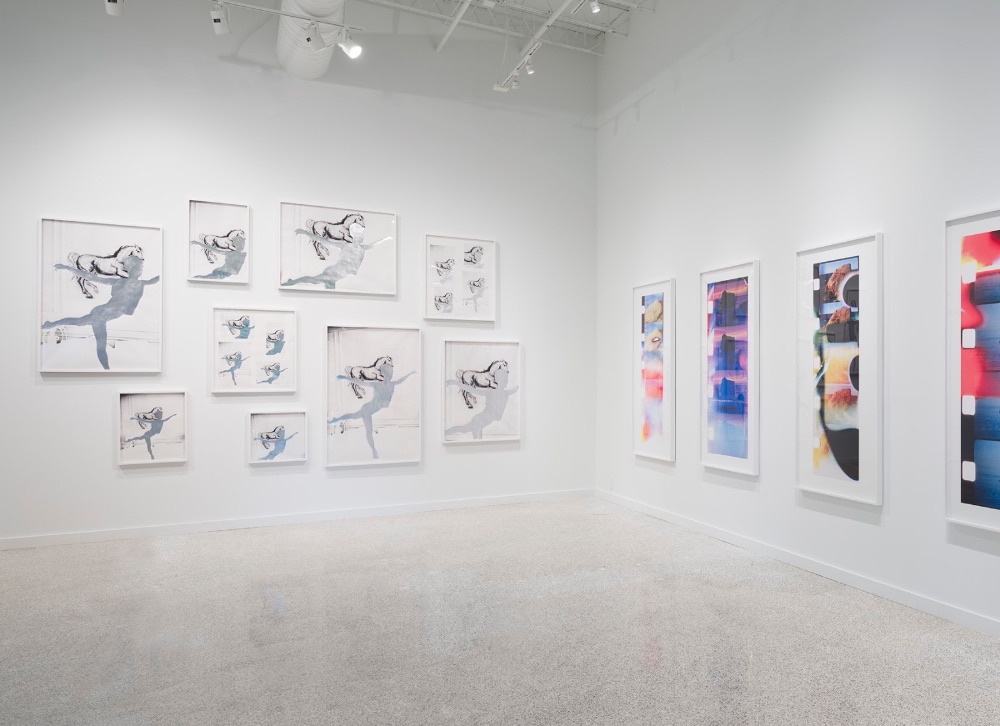 Salon-hung wall of gestural black-and-white horse drawings